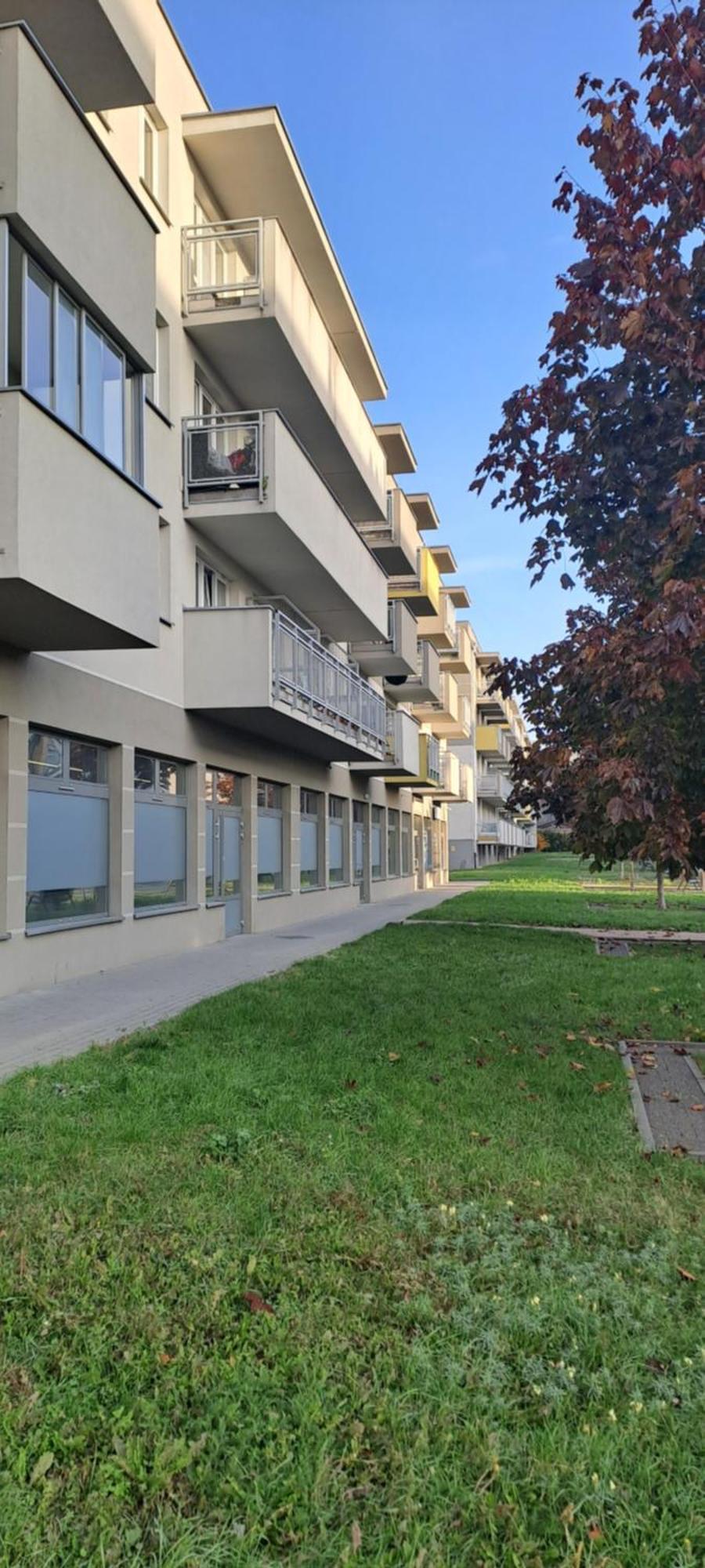 Apartment Blue Plock